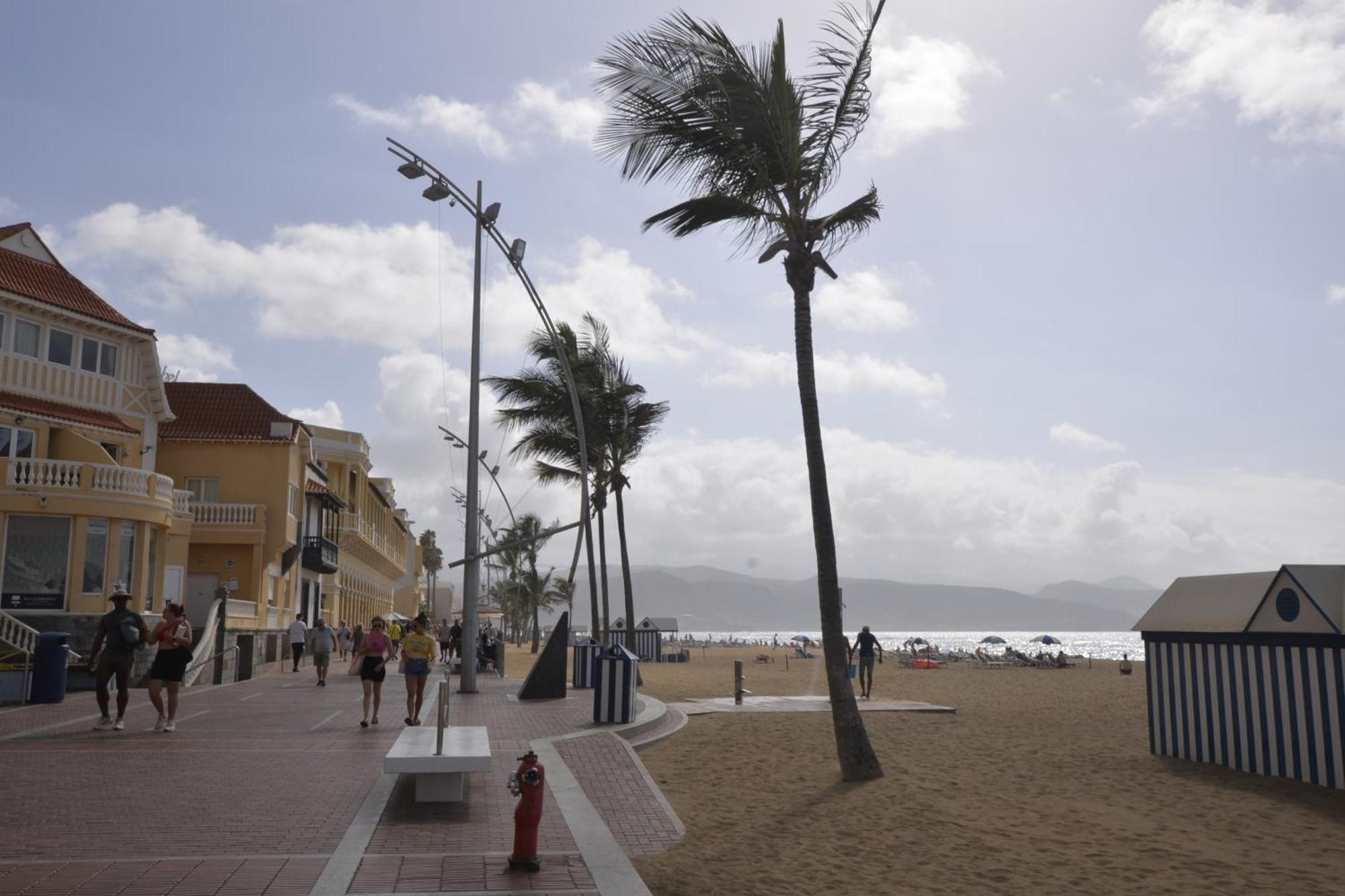 Apartamento Maralma Las Palmas de Gran Canaria Ngoại thất bức ảnh
